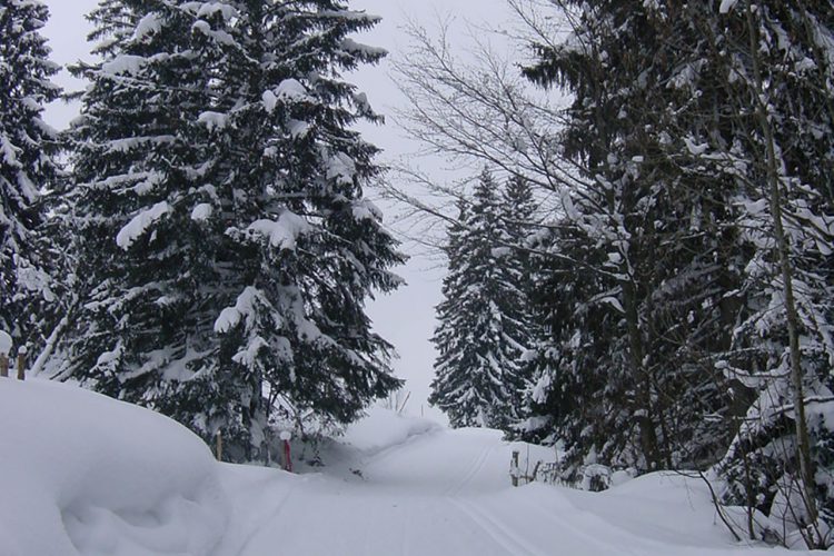 Saignelégier / Franches Montagnes