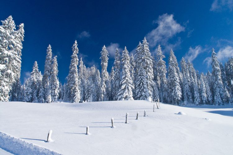 St-Cergue / La Givrine / La Cure