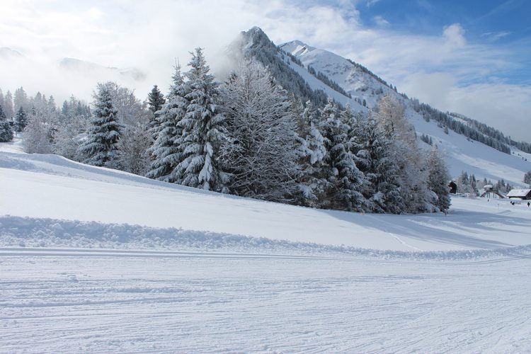 Les Mosses / Pays d’Enhaut