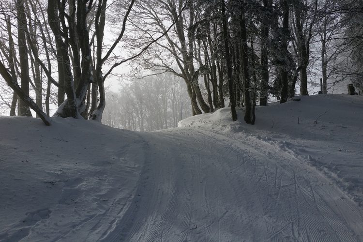 Les Prés-d’Orvin / Chasseral