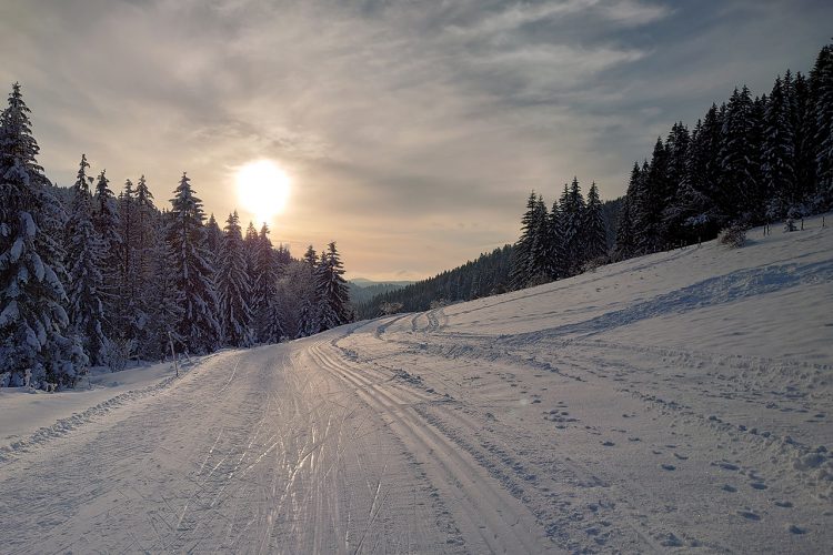 Les Cernets / Les Verrières