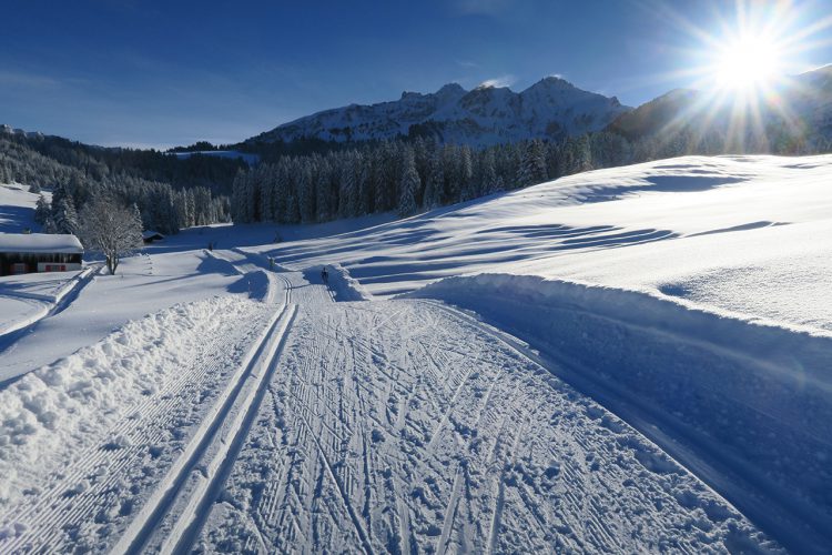 Les Grandes Roches / Le Brassus